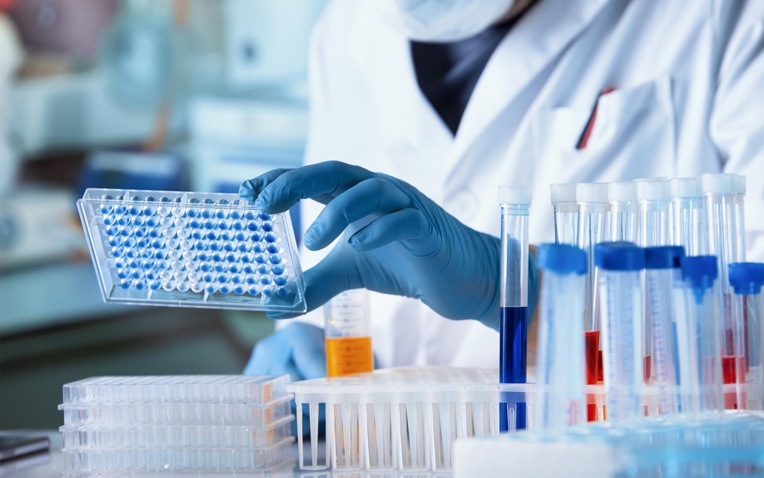Researcher working with microplate panel for diseases diagnosis in the laboratory Medical courier Georgia